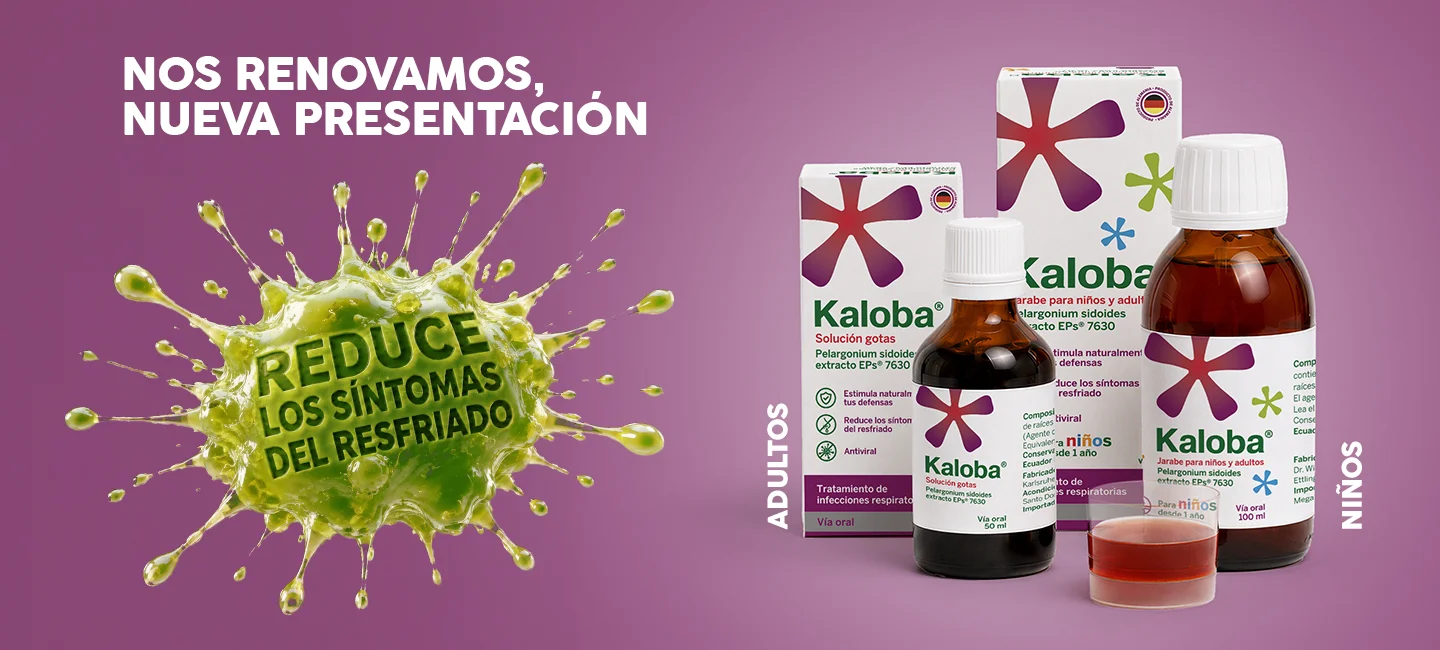 KALOBA-BANNER-WEB-2